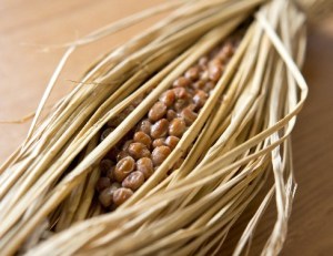 5363d2e4008556f6b798e9bf41ad5a9e_s