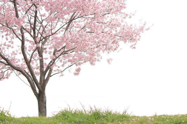 96e787330a100f46f4a87c3f74ee8911_s