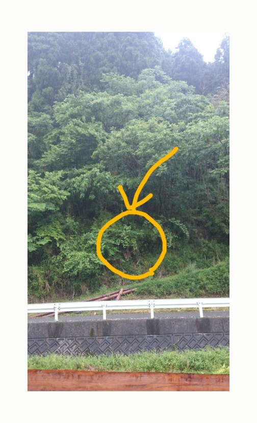 sketch-1498177419011