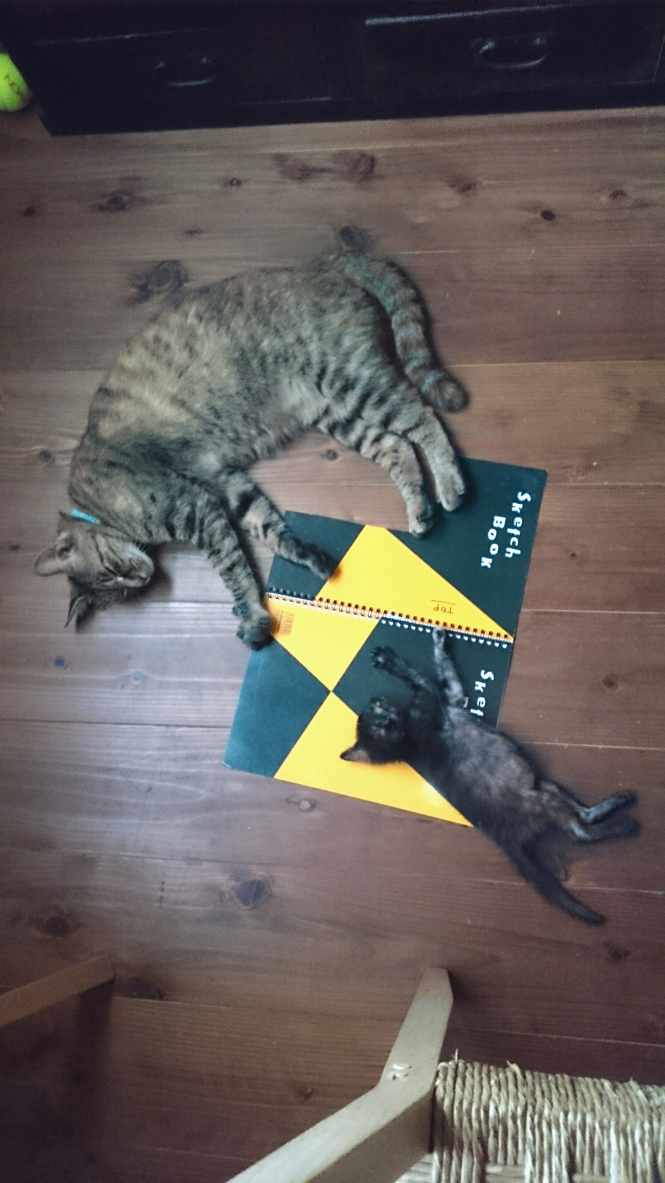 IMG_20180727_173759(1)